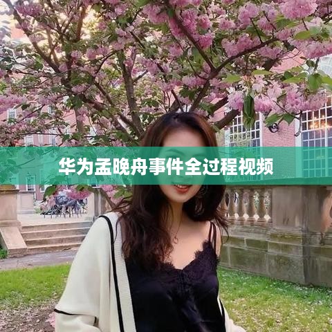 华为孟晚舟事件全过程视频  第1张