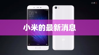 小米的最新消息  第1张