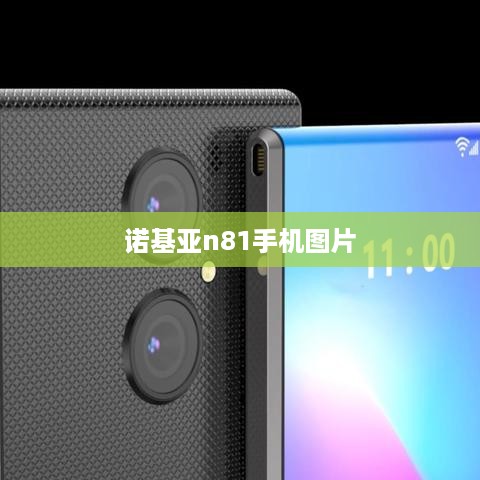 诺基亚n81手机图片