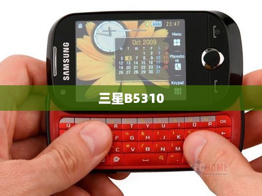 三星B5310