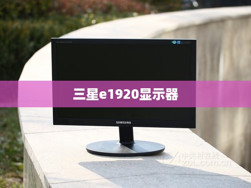 三星e1920显示器  第1张