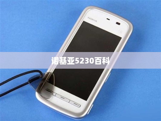诺基亚5230百科  第1张