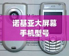 诺基亚大屏幕手机型号  第1张