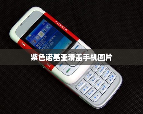 紫色诺基亚滑盖手机图片