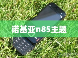诺基亚n85主题  第1张