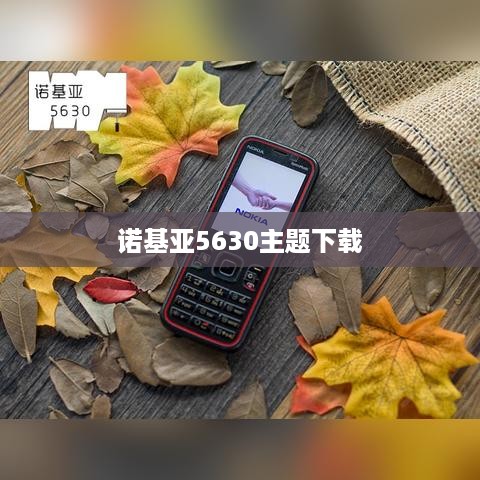 诺基亚5630主题下载