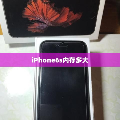 iPhone6s内存多大