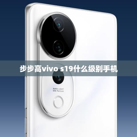 步步高vivo s19什么级别手机
