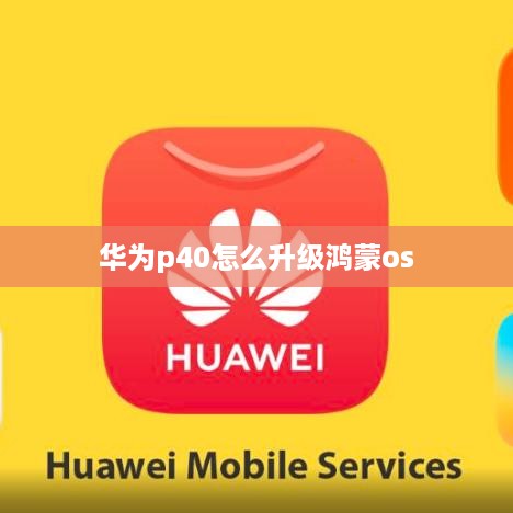 华为p40怎么升级鸿蒙os  第1张
