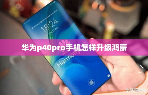 华为p40pro手机怎样升级鸿蒙  第1张