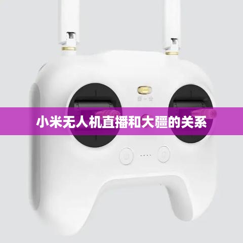 小米无人机直播和大疆的关系
