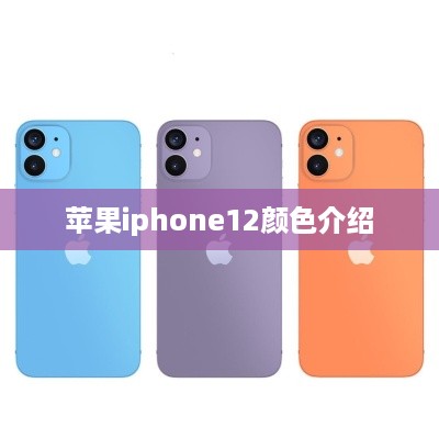 苹果iphone12颜色介绍