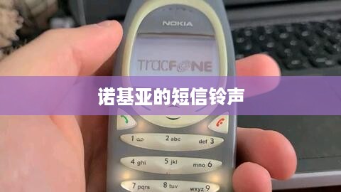 诺基亚的短信铃声  第1张