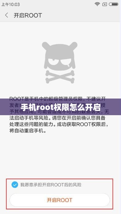 手机root权限怎么开启