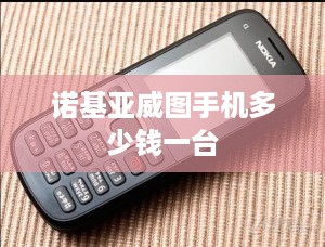 诺基亚威图手机多少钱一台  第1张