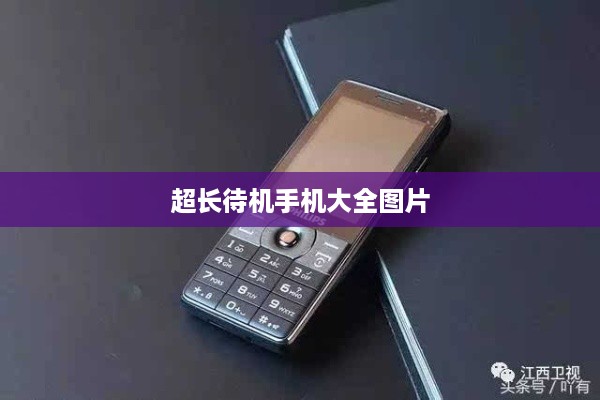超长待机手机大全图片
