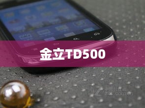 金立TD500
