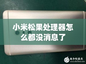 小米松果处理器怎么都没消息了