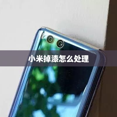 小米掉漆怎么处理