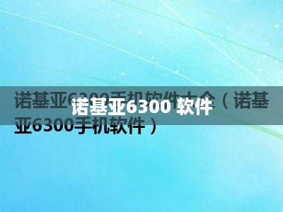 诺基亚6300 软件