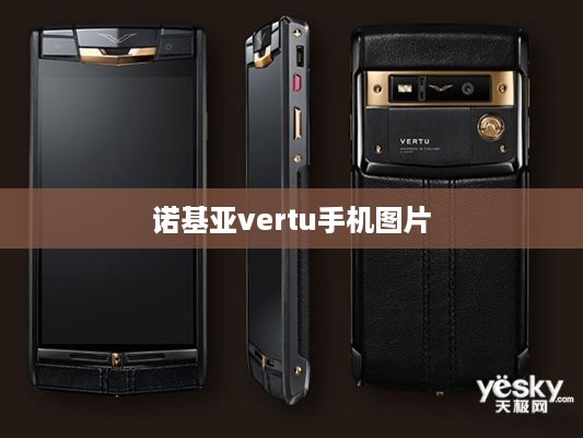 诺基亚vertu手机图片