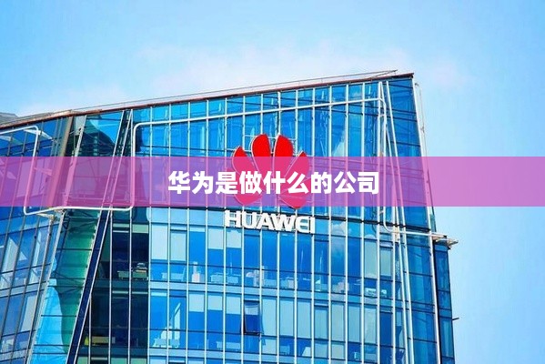 华为是做什么的公司