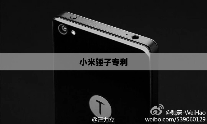 小米锤子专利