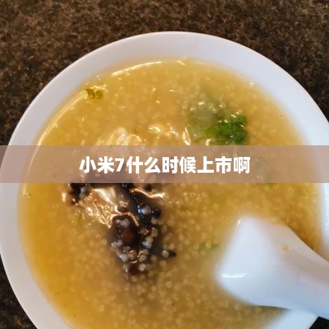 小米7什么时候上市啊