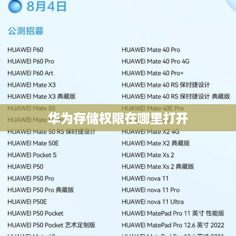 华为存储权限在哪里打开