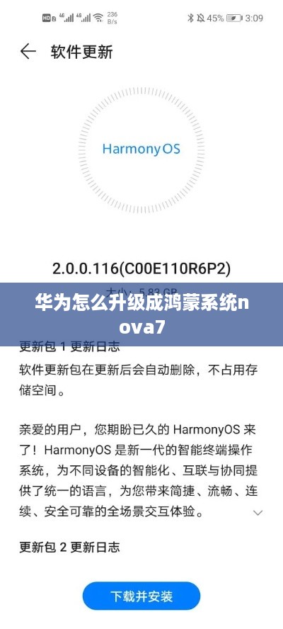 华为怎么升级成鸿蒙系统nova7