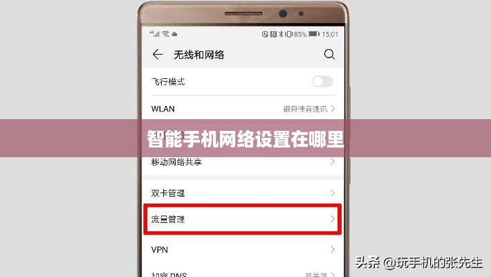 智能手机网络设置在哪里