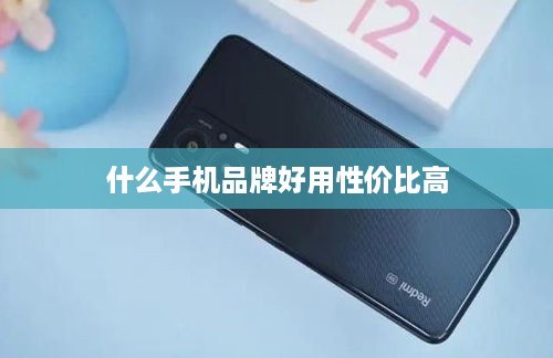 什么手机品牌好用性价比高