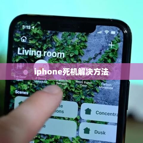 iphone死机解决方法