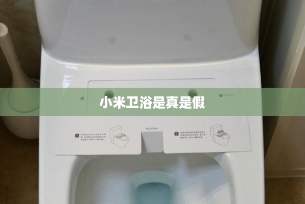 小米卫浴是真是假