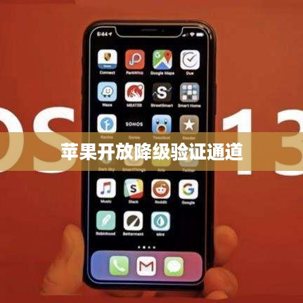 苹果开放降级验证通道