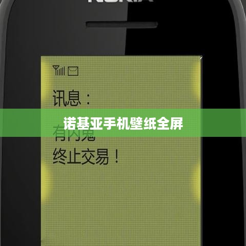 诺基亚手机壁纸全屏