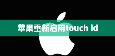苹果重新启用touch id