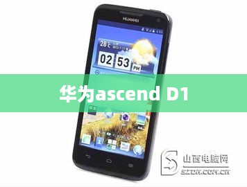 华为ascend D1