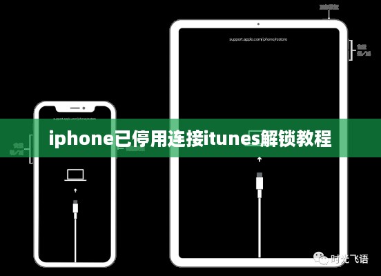 iphone已停用连接itunes解锁教程