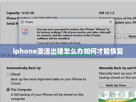 iphone激活出错怎么办如何才能恢复