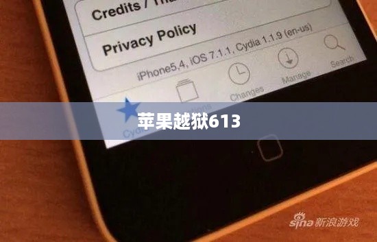 苹果越狱613