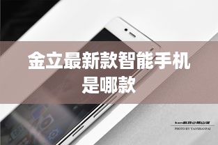 金立最新款智能手机是哪款