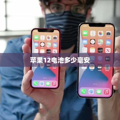 苹果12电池多少毫安