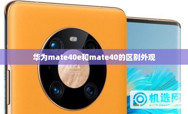 华为mate40e和mate40的区别外观