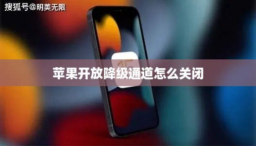 苹果开放降级通道怎么关闭