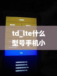 td_lte什么型号手机小米