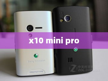 x10 mini pro