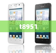 t8951