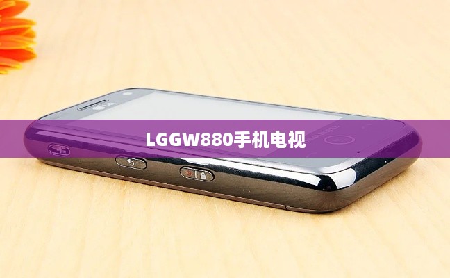LGGW880手机电视