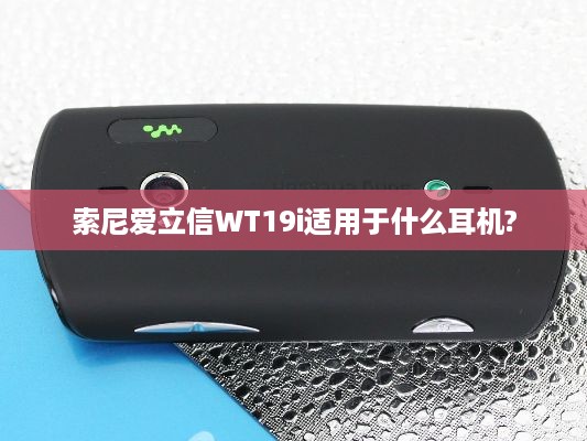 索尼爱立信WT19i适用于什么耳机?